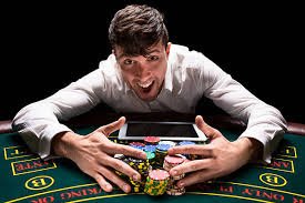 vipbet88